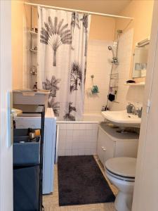 Louer Appartement Riom 500 euros