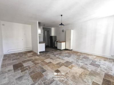 Annonce Location Appartement Lyon-7eme-arrondissement 69