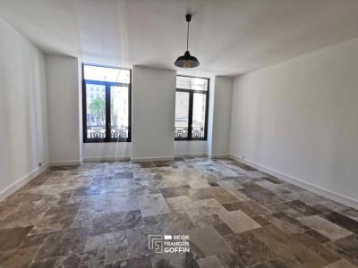 Louer Appartement 43 m2 Lyon-7eme-arrondissement