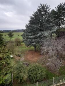Louer Appartement 68 m2 Mesvres