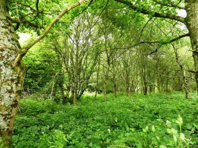 For sale Locmalo 5075 m2 Morbihan (56160) photo 0