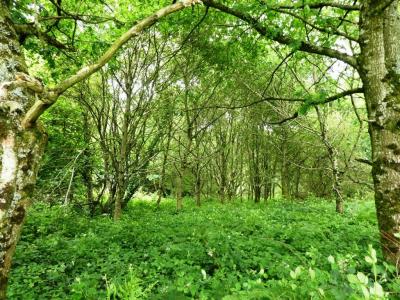 Acheter Terrain Locmalo Morbihan