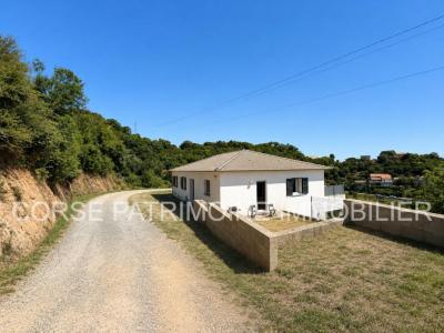 For sale Penta-di-casinca 12 rooms 270 m2 Corse (20213) photo 4