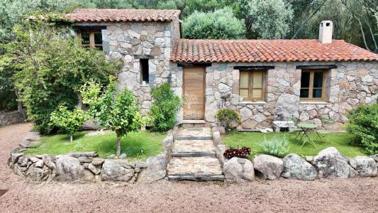 Annonce Vente 4 pi�ces Maison Sotta 20