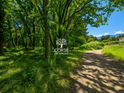 For sale Prunelli-di-fiumorbo 2500 m2 Corse (20243) photo 0