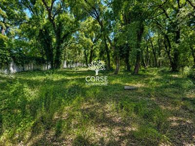 For sale Prunelli-di-fiumorbo 2500 m2 Corse (20243) photo 1