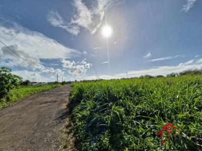 Annonce Vente Terrain Lamentin 971