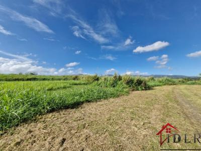 Acheter Terrain 590 m2 Lamentin