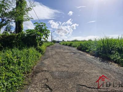 Acheter Terrain Lamentin Guadeloupe