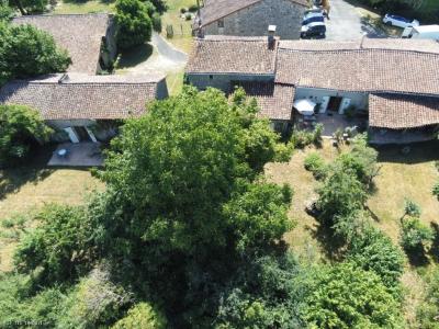 Annonce Vente Prestige Champagne-mouton 16