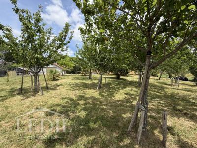 Annonce Vente 3 pi�ces Maison Saint-puy 32
