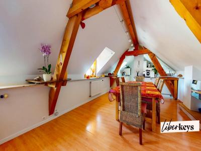 Acheter Appartement Annecy Haute savoie