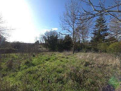 Annonce Vente Terrain  60