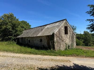 For sale Pluvigner 1 room 50 m2 Morbihan (56330) photo 0