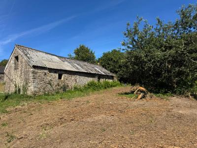 Annonce Vente Maison Pluvigner 56
