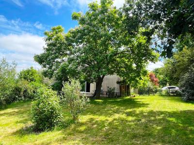 Annonce Vente 5 pi�ces Maison Montfort-sur-meu 35