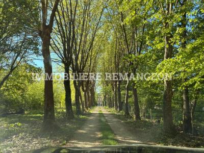 Annonce Vente Prestige Lamotte-beuvron 41