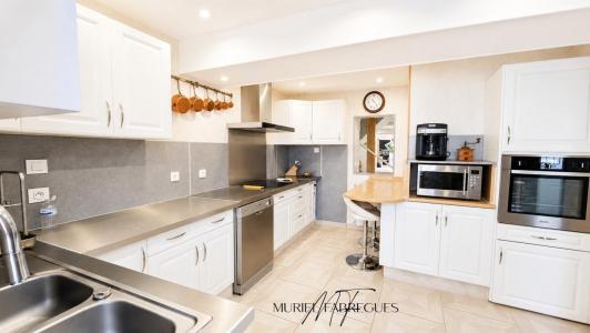 Annonce Vente 6 pi�ces Maison Laurabuc 11