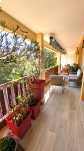 For sale Saint-raphael 2 rooms 53 m2 Var (83700) photo 2