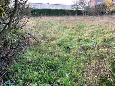 Annonce Vente Terrain Sainville 28