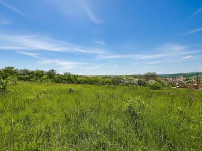 For sale Francheville 1550 m2 Cote d'or (21440) photo 0