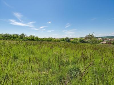 Acheter Terrain 1550 m2 Francheville