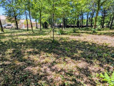 For sale Belin-beliet 578 m2 Gironde (33830) photo 0