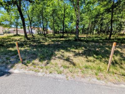 For sale Belin-beliet 472 m2 Gironde (33830) photo 0