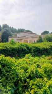 Acheter Maison Beziers 700000 euros