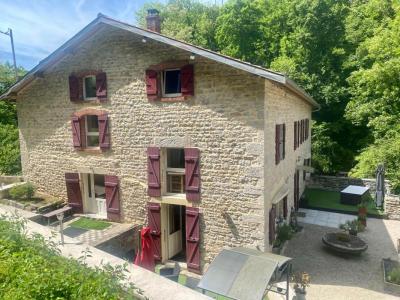Annonce Vente Prestige Montagna-le-reconduit 39
