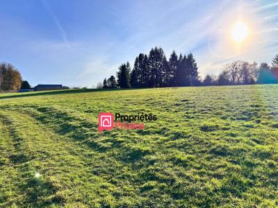 For sale Chapdes-beaufort 1810 m2 Puy de dome (63230) photo 1