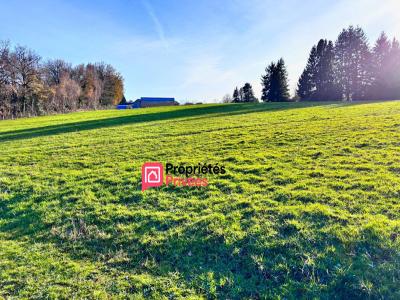 For sale Chapdes-beaufort 1810 m2 Puy de dome (63230) photo 2