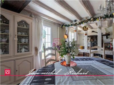 Annonce Vente 8 pi�ces Maison Lassay-sur-croisne 41