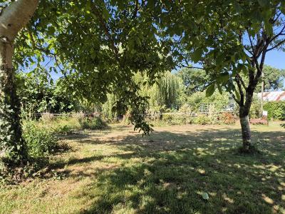 Annonce Vente Terrain  85