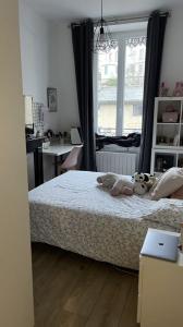 Louer Appartement  460 euros