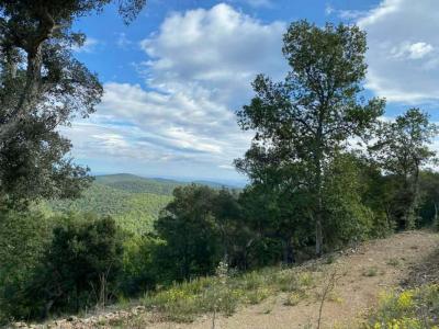 Annonce Vente Terrain Taillet 66