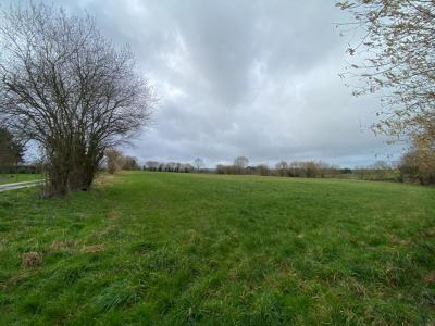 For sale Bieville TORIGNY-LES-VILLES 6410 m2 Manche (50160) photo 0