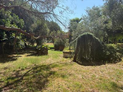 For sale Saint-laurent-de-la-pree 6 rooms 120 m2 Charente maritime (17450) photo 4
