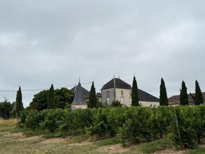 For sale Massugas 12 rooms 550 m2 Gironde (33790) photo 0