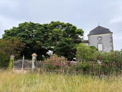 For sale Massugas 12 rooms 550 m2 Gironde (33790) photo 2