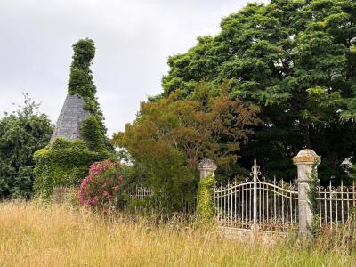 For sale Massugas 12 rooms 550 m2 Gironde (33790) photo 3