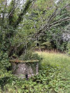For sale Soussac 16 rooms 630 m2 Gironde (33790) photo 3