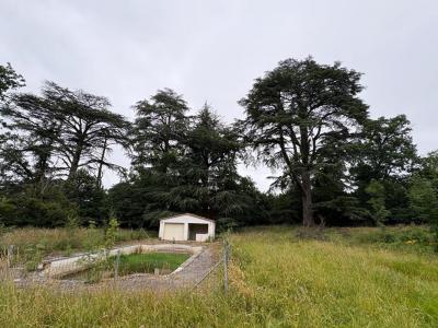 For sale Soussac 16 rooms 630 m2 Gironde (33790) photo 4
