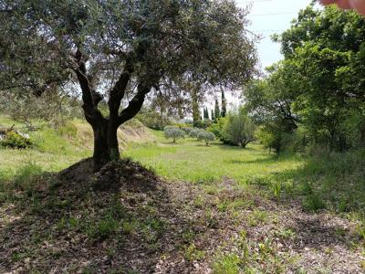 For sale Manosque 1840 m2 Alpes de haute provence (04100) photo 4