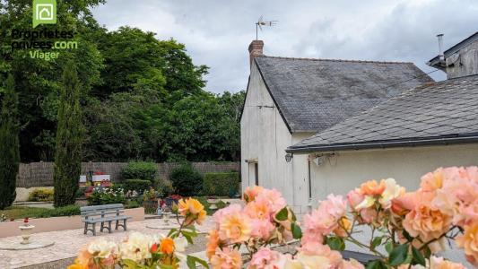 Acheter en viager Maison Theneuil 19350 euros
