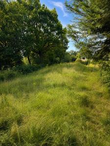 For sale Beaulieu-sous-la-roche 838 m2 Vendee (85190) photo 2