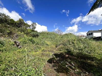 Annonce Vente Terrain Plaine-des-palmistes 974