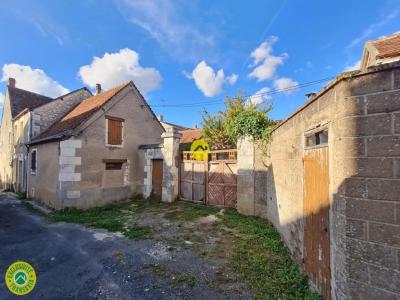Annonce Vente Prestige Lucay-le-male 36