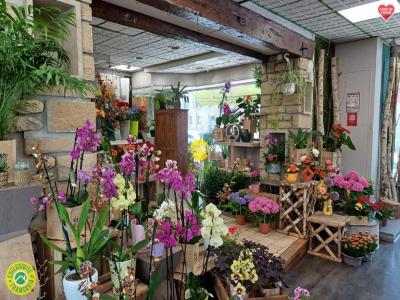 Annonce Vente Local commercial Saint-florent-sur-cher 18