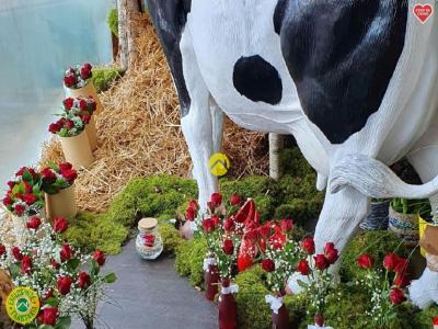 Acheter Local commercial Saint-florent-sur-cher Cher